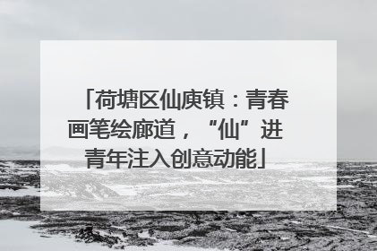 荷塘区仙庾镇：青春画笔绘廊道，“仙”进青年注入创意动能
