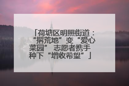 荷塘区明照街道：“撂荒地”变“爱心菜园” 志愿者携手种下“增收希望”
