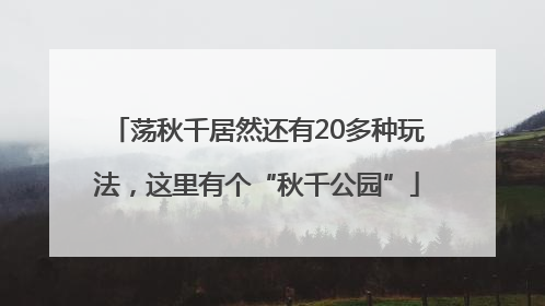 荡秋千居然还有20多种玩法，这里有个“秋千公园”