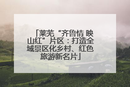 莱芜“齐鲁情 映山红”片区：打造全域景区化乡村、红色旅游新名片