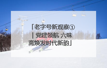 老字号新观察①｜党建领航 六味斋焕发时代新韵