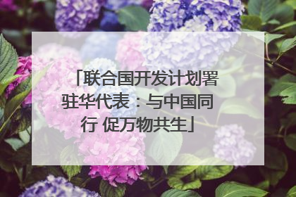 联合国开发计划署驻华代表：与中国同行 促万物共生