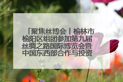 聚焦丝博会丨榆林市榆阳区组团参加第九届丝绸之路国际博览会暨中国东西部合作与投资贸易洽谈会