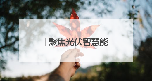 聚焦光伏智慧能源 2025上海光伏展举行