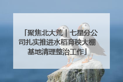 聚焦北大荒｜七星分公司扎实推进水稻育秧大棚基地清理整治工作