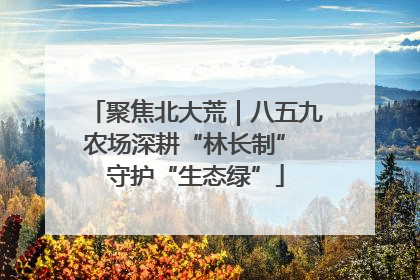 聚焦北大荒｜八五九农场深耕“林长制” 守护“生态绿”