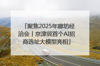 聚焦2025年廊坊经洽会丨京津冀首个AI招商选址大模型亮相