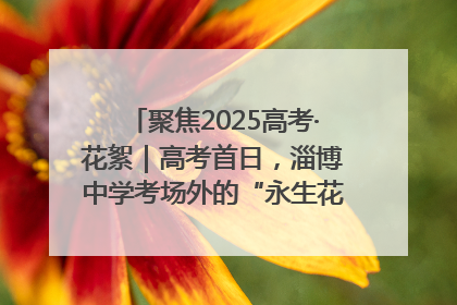 聚焦2025高考·花絮｜高考首日，淄博中学考场外的“永生花”传递温暖与祝福