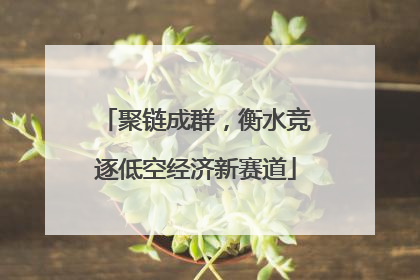 聚链成群，衡水竞逐低空经济新赛道