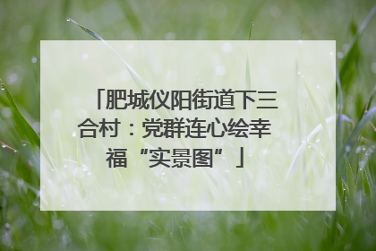 肥城仪阳街道下三合村：党群连心绘幸福“实景图”