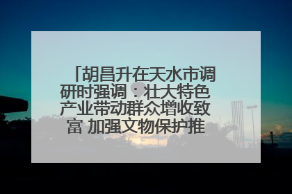 胡昌升在天水市调研时强调：壮大特色产业带动群众增收致富 加强文物保护推动文化创新发展