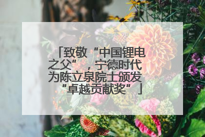 致敬“中国锂电之父”，宁德时代为陈立泉院士颁发“卓越贡献奖”