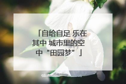 自给自足 乐在其中 城市里的空中“田园梦”