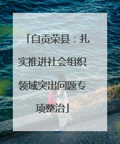 自贡荣县：扎实推进社会组织领域突出问题专项整治
