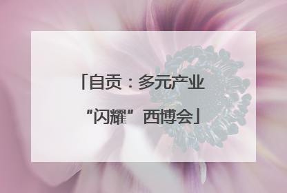 自贡：多元产业“闪耀”西博会