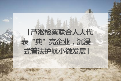 芦淞检察联合人大代表“典”亮企业，沉浸式普法护航小微发展