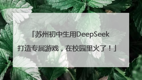苏州初中生用DeepSeek打造专属游戏，在校园里火了！