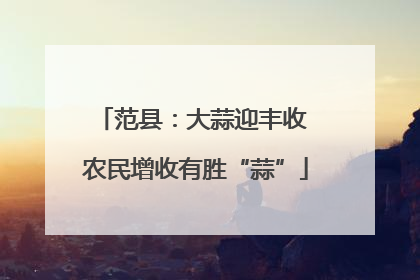 范县：大蒜迎丰收 农民增收有胜“蒜”