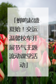 蝉鸣起盛夏始！交运温馨校车开展节气主题流动课堂活动