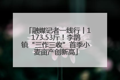 融媒记者一线行丨1173.53斤！李鹊镇“三作三收”首季小麦亩产创新高