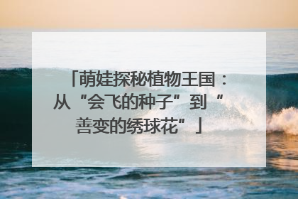 萌娃探秘植物王国：从“会飞的种子”到“善变的绣球花”