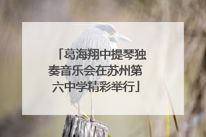 葛海翔中提琴独奏音乐会在苏州第六中学精彩举行