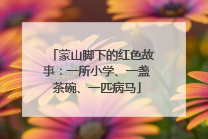 蒙山脚下的红色故事：一所小学、一盏茶碗、一匹病马