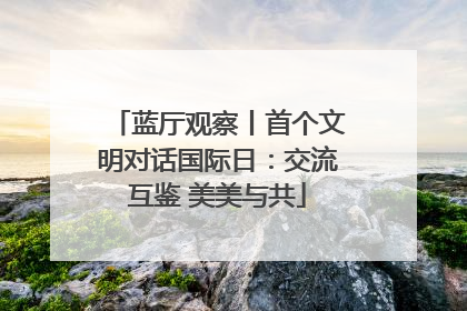 蓝厅观察丨首个文明对话国际日：交流互鉴 美美与共