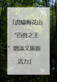 虎啸梅花山 “百兽之王”增添文旅新活力