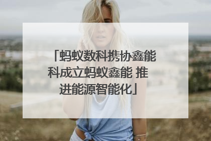 蚂蚁数科携协鑫能科成立蚂蚁鑫能 推进能源智能化