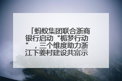 蚂蚁集团联合浙商银行启动“栀梦行动”，三个维度助力浙江下姜村建设共富示范区示范点