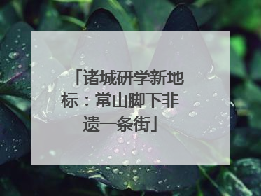 诸城研学新地标：常山脚下非遗一条街