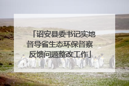 诏安县委书记实地督导省生态环保督察反馈问题整改工作