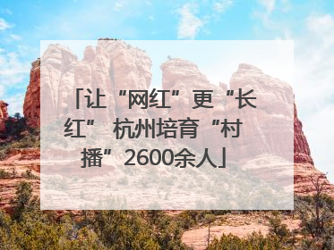让“网红”更“长红” 杭州培育“村播”2600余人