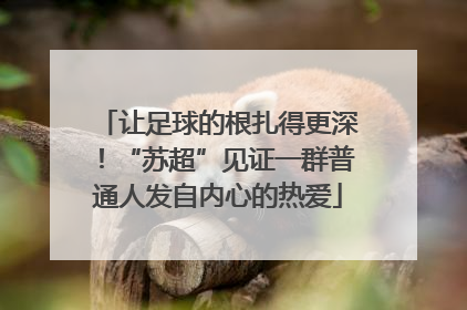 让足球的根扎得更深！“苏超”见证一群普通人发自内心的热爱