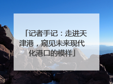 记者手记：走进天津港，窥见未来现代化港口的模样
