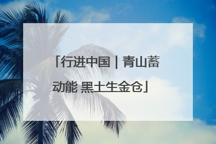行进中国｜青山蓄动能 黑土生金仓