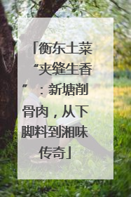 衡东土菜“夹缝生香”：新塘削骨肉，从下脚料到湘味传奇