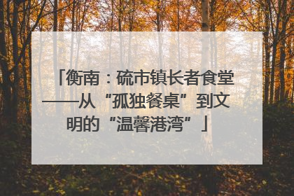 衡南：硫市镇长者食堂——从“孤独餐桌”到文明的“温馨港湾”