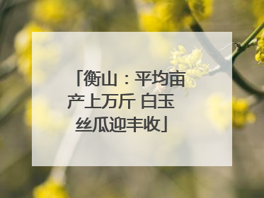衡山：平均亩产上万斤 白玉丝瓜迎丰收