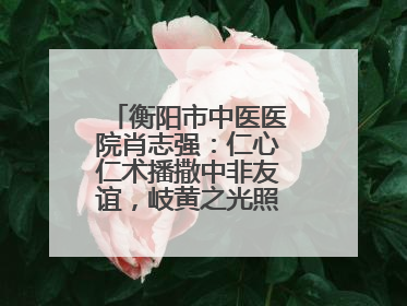 衡阳市中医医院肖志强：仁心仁术播撒中非友谊，岐黄之光照亮津巴大地