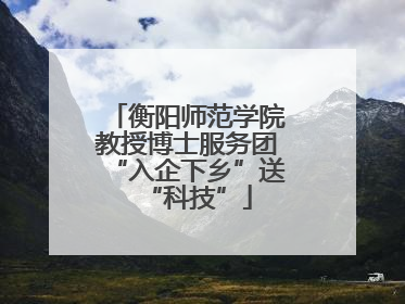 衡阳师范学院教授博士服务团“入企下乡”送“科技”