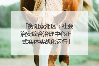 衡阳蒸湘区：社会治安综合治理中心正式实体实战化运行