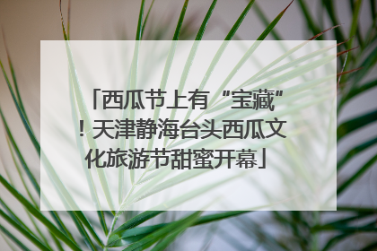 西瓜节上有“宝藏”！天津静海台头西瓜文化旅游节甜蜜开幕