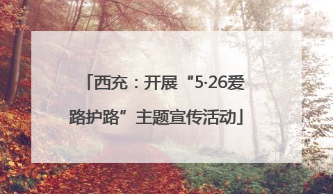 西充：开展“5·26爱路护路”主题宣传活动