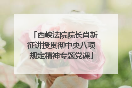 西峡法院院长肖新征讲授贯彻中央八项规定精神专题党课