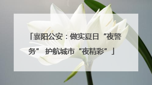 襄阳公安：做实夏日“夜警务” 护航城市“夜精彩”