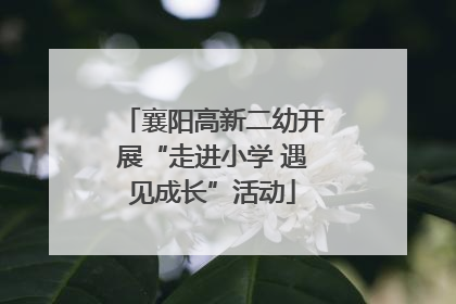 襄阳高新二幼开展“走进小学 遇见成长”活动