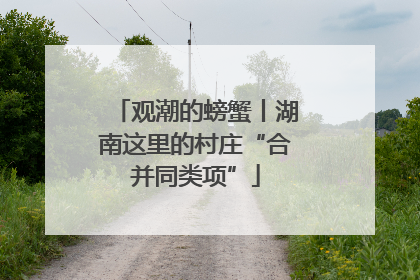 观潮的螃蟹丨湖南这里的村庄“合并同类项”