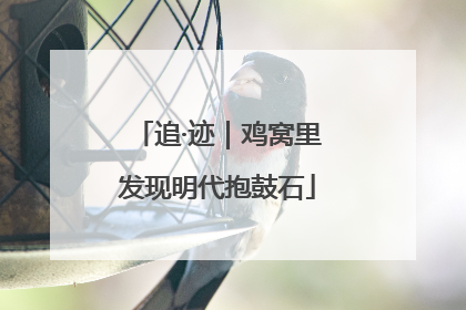 追·迹｜鸡窝里发现明代抱鼓石